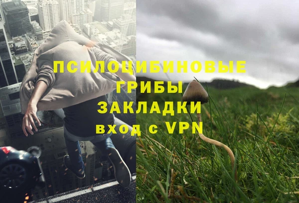 PSILOCYBIN Алексеевка