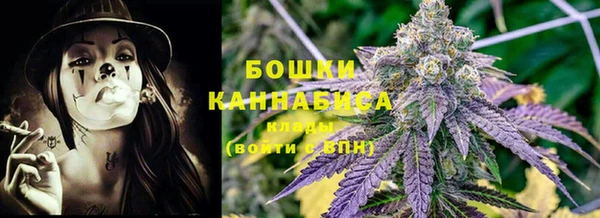 PSILOCYBIN Алексеевка