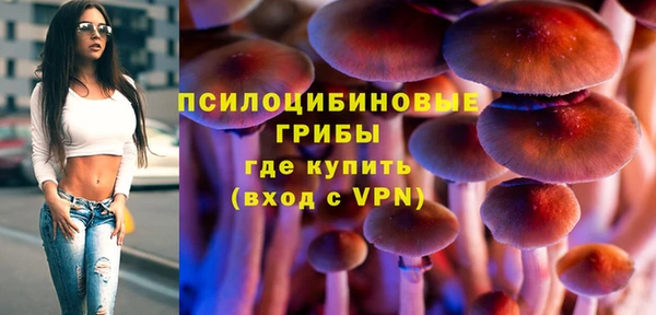 PSILOCYBIN Алексеевка