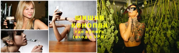 PSILOCYBIN Алексеевка